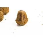 سکھری کھجوریں کمل سے بھری ہوئی ہیں۔ - Image 2