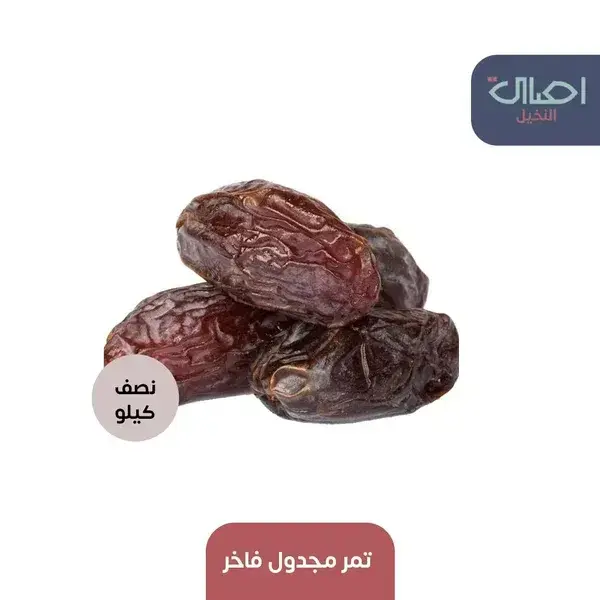 Süslü Majdalah Tarihleri