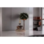 ⁦فواحة تذكارية النخلة⁩ - الصورة ⁦2⁩