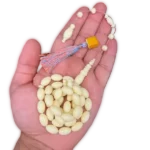 Old Moulding Dhumneh (propriété + craquelins du détachement spécial)