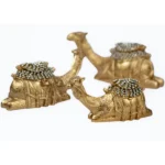 Sosok Unta Gurun - Gambar 2