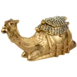 Sosok Unta Gurun - Gambar 4