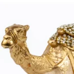 Sosok Unta Gurun - Gambar 5