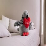 Boneka Boneka Merpati Makiya - Gambar 2