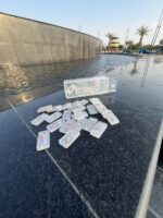 Domino Rizen - Image 2