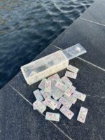 Domino Rizen - Image 3