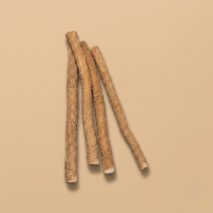 مسواك طبيعي